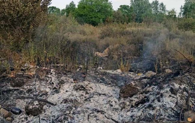 У Дніпрі виникла пожежа на території 3 гектарів: горів сухостій