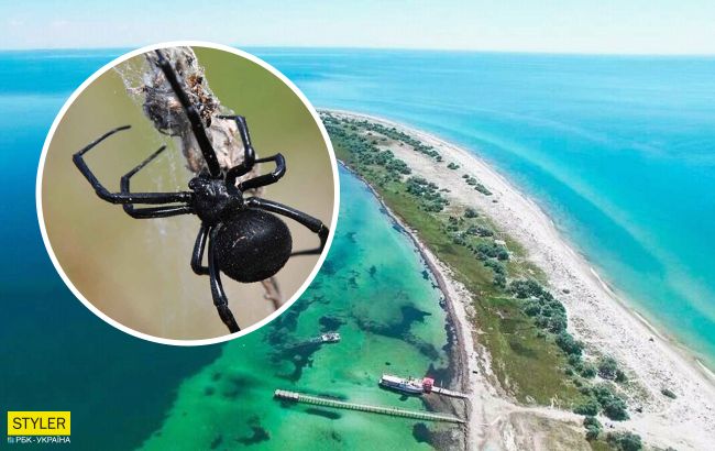 В Україні на популярному курорті туристку вкусив смертельно небезпечний павук