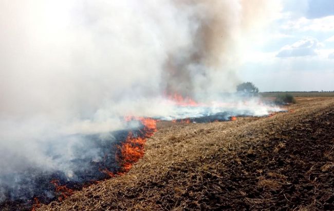 У Миколаївській області за добу виникло 12 пожеж в екосистемах