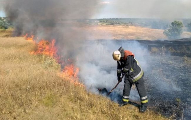 У Дніпропетровській області за добу виникло 85 пожеж на відкритих територіях