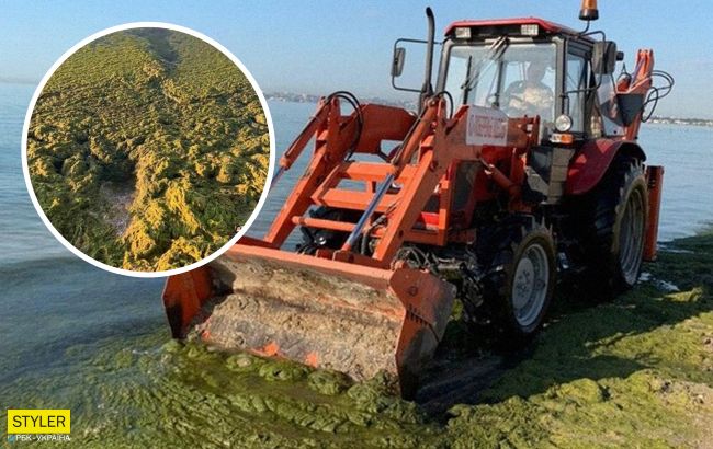 В Одессе с пляжей грузовиками вывезли 200 тонн токсичных водорослей: видео