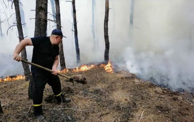 Площа лісових пожеж в Україні за рік збільшилася у 40 разів