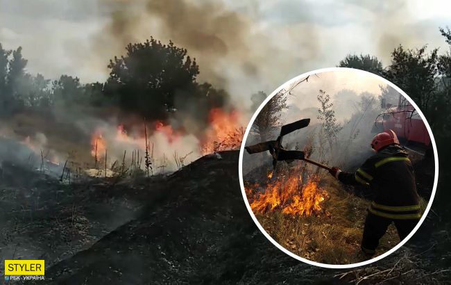 Під Луганськом знову спалахнула масштабна пожежа: рятувальники показали відео