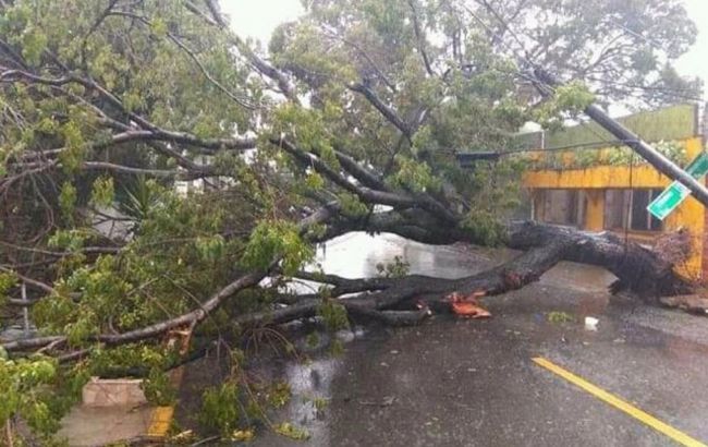 В районе Мексиканского залива более полумиллиона человек эвакуируют из-за урагана