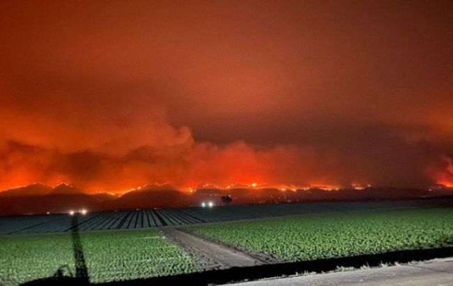 Площадь пожаров в Калифорнии выросла до полумиллиона гектаров