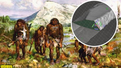 Ученые сделали открытие про неандертальцев, которое может перевернуть историю