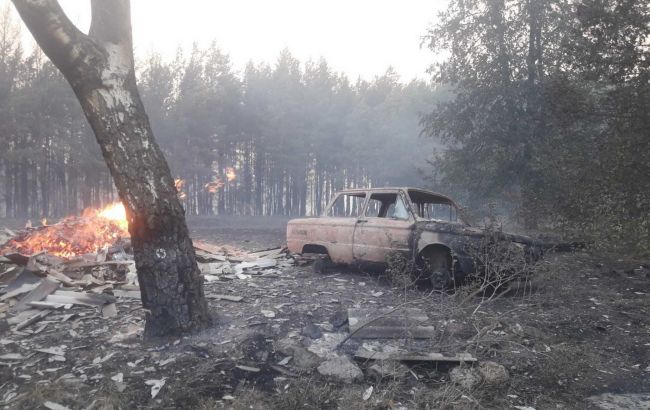 Названо орієнтовний збиток від пожеж у Харківській області
