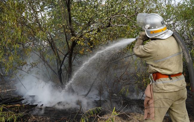Пожар в Луганской области тушат уже пятый день