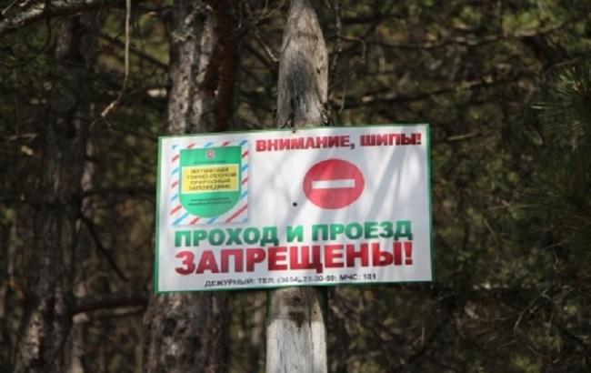 В оккупированном Крыму для населения закрыли доступ в леса