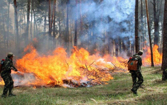 Синоптики объявили чрезвычайную пожарную опасность в Украине