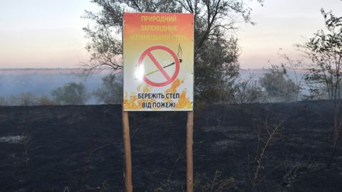 У Миколаївській області горів заповідник