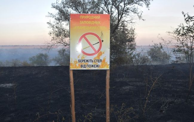 В Николаевской области горел заповедник