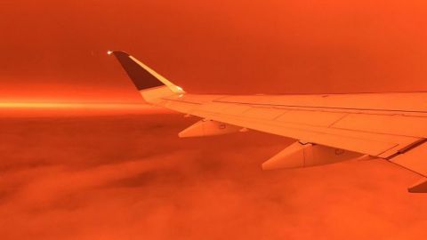 Зросла кількість жертв пожеж на заході США