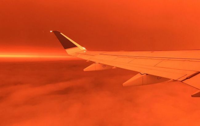 Возросло число жертв пожаров на западе США