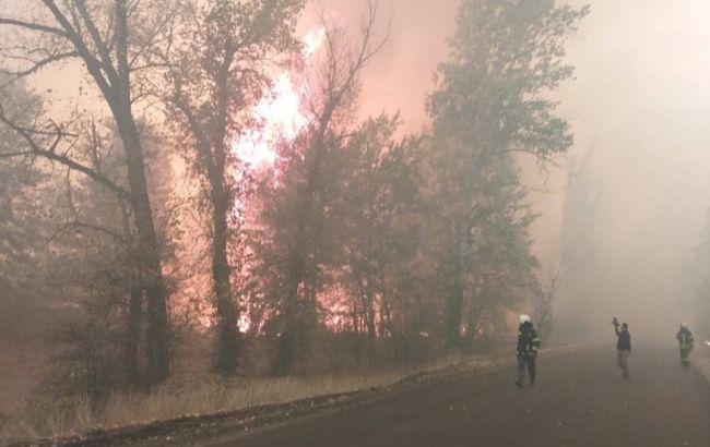 В Северодонецке отменили занятия в школах из-за эвакуации пострадавших от пожаров