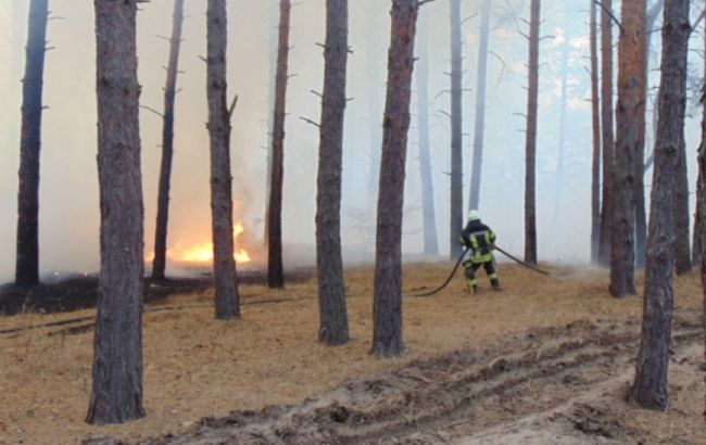 Російські найманці спровокували в Луганській області пожежі, - РДА