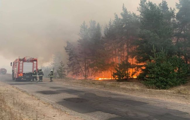 Пожежі в Луганській області: половину осередків ліквідували, вогонь відступає