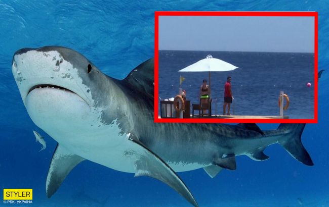 В Египте 12-летний украинец лишился руки из-за акулы: оказалось, что там кормили рыб