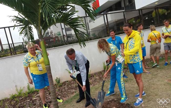 "На добрую память": украинские олимпийцы посадили пальму в Рио