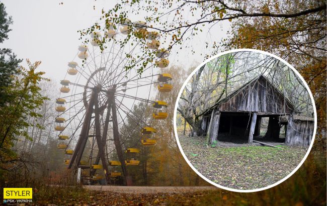 У Чорнобилі показали стадо здичавілих тварин висотою майже в людський зріст