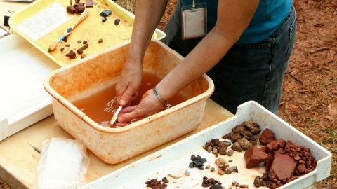 Вчені знайшли тисячі унікальних наскальних малюнків часів льодовикового періоду (фото)