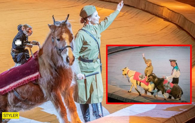 В российском цирке детям показали, как красноармейцы гоняют "животных-нацистов"