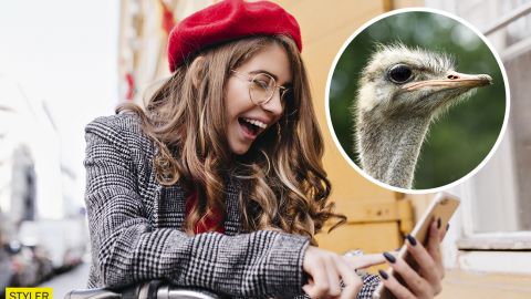 По Кривому Рогу разгуливал страус: животное напугало водителей и рассмешило сеть