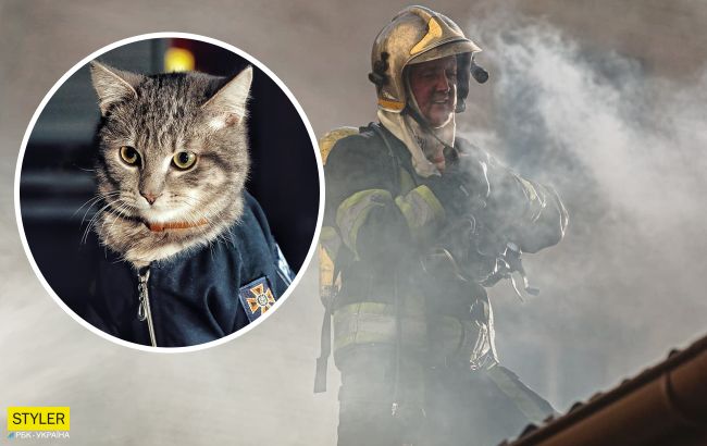 В Киеве кот стал спасателем и "дослужился" до майора: история хвостатого чрезвычайника