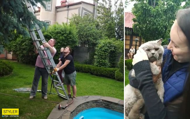 В Харькове спасли кота, который 10 дней просидел в гнезде на высоком дереве (видео)