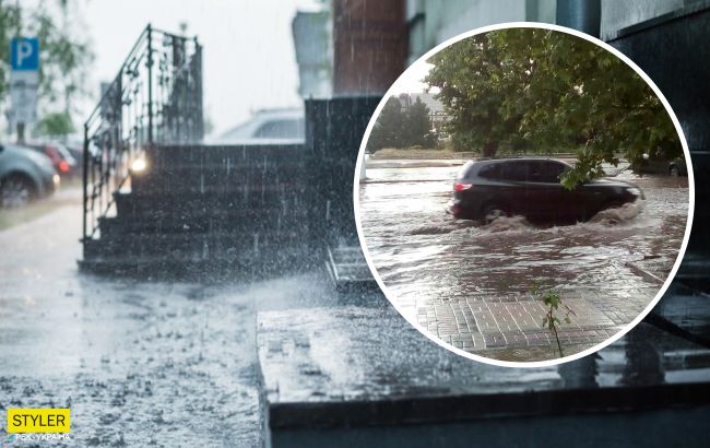 Карасів можна ловити руками: у мережі показали моторошні наслідки сильних злив в Україні