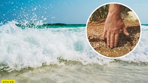 Під Одесою на берег викинуло тисячі мертвих креветок: яка причина (фото)