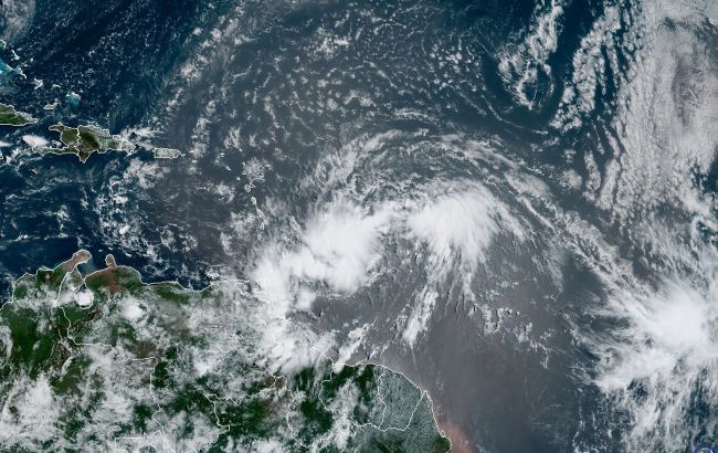 Во Флориде ввели режим ЧС в 15 округах штата из-за урагана "Эльза"