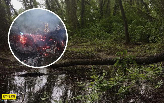 В Киеве несколько раз пытались поджечь уникальный участок природы: местные бьют тревогу (фото)