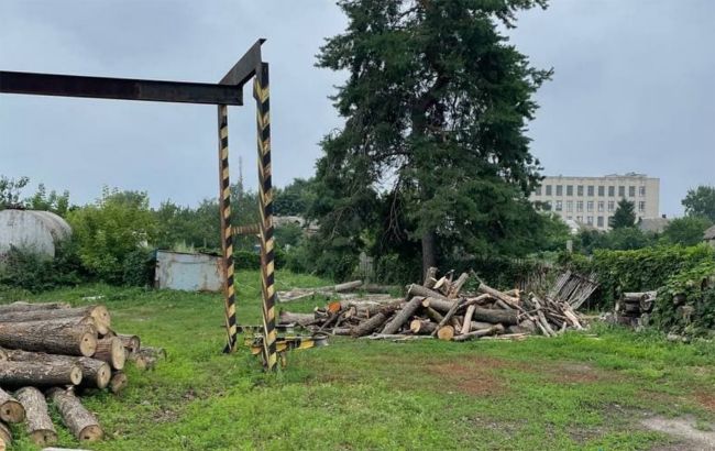 Рубили лес во время пожаров: в Луганской области разоблачили "схему" на миллион гривен