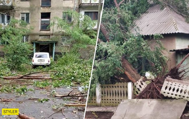 Крыши летали, а деревья вырывало с асфальтом: ураган наделал беды под Одессой