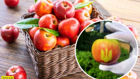 До Дня Незалежності під Вінницею виростили "патріотичні" яблука