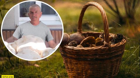 В Винницкой области мужчина нашел грибы-гиганты: вес каждого - 3 кг