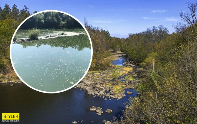 У Житомирі річка Тетерів на межі екокатастрофи: нечистоти постійно зливають у водойму
