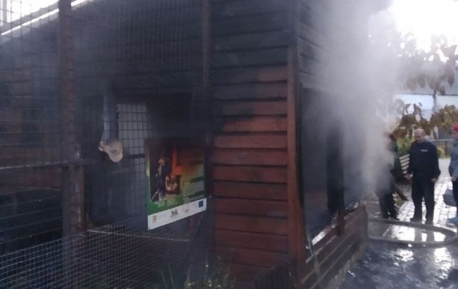 У зоопарку Луцька сталася пожежа: загинули тварини