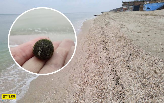 На пляжах Азовского моря заметили зеленые шарики: стало известно, что это (фото)