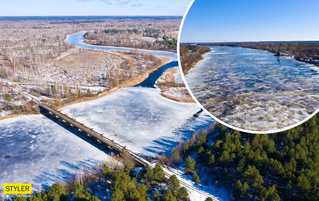 В Чернобыле показали исчезнувших животных, которые наслаждаются зимой