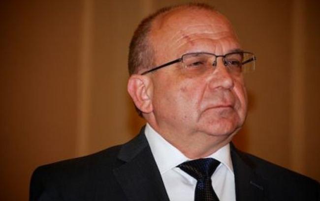 Глава Волынской ОГА оценил запасы янтаря в области в 4 млрд долларов