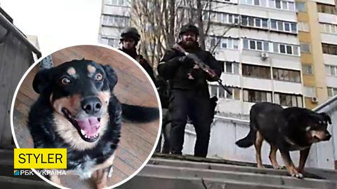 Поліцейські показали роботу свого талісмана - пса Пріуса, який допомагає обороняти Київ