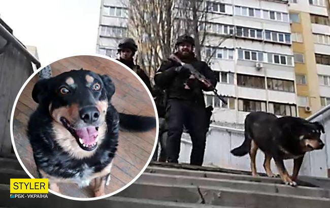 Полицейские показали работу своего талисмана - пса Приуса, который помогает оборонять Киев