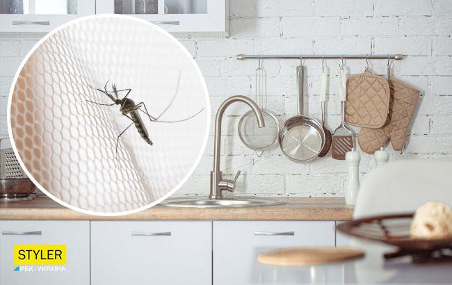 Цей простий засіб допоможе позбутися від комарів в будинку: є на кожній кухні