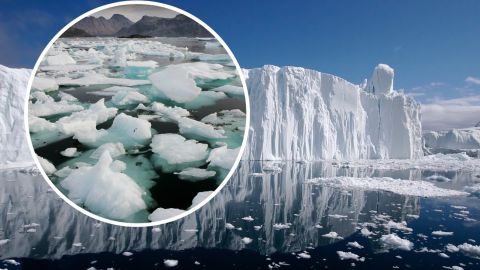 Мир на пороге 5 катастрофических климатических переломных моментов: ученые бьют тревогу