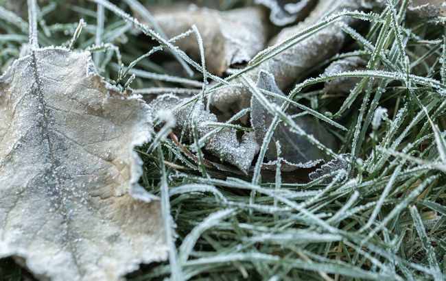 Праздник 21 октября: какой народный праздник отмечают и что категорически нельзя делать