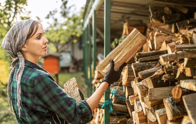 Всем бесплатно: как украинцы могут получить дрова для обогрева зимой