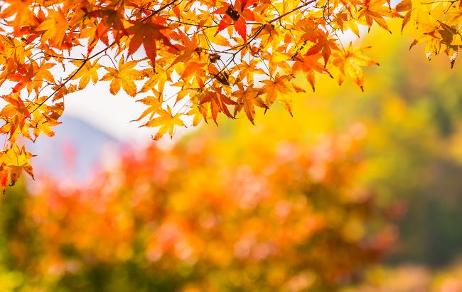 Дмитриев день: что нельзя сегодня делать и какие приметы существуют