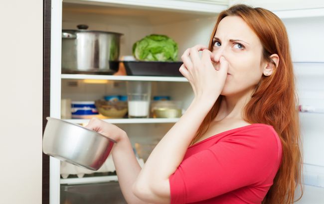 Как продлить жизнь холодильнику во время отключений света: действенные советы